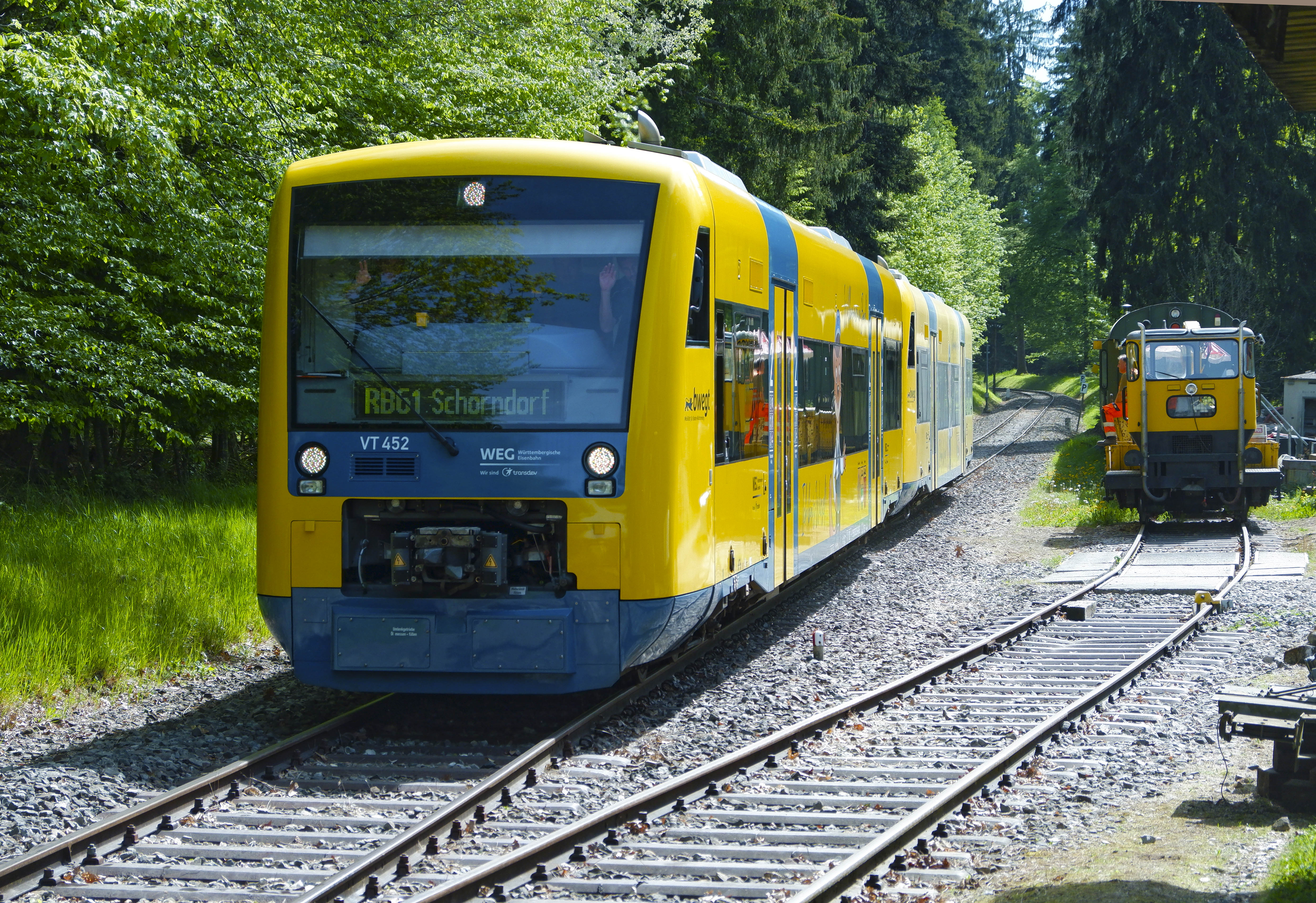 Wiesel